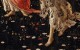 Primavera: un’interpretazione botanica del dipinto di Botticelli